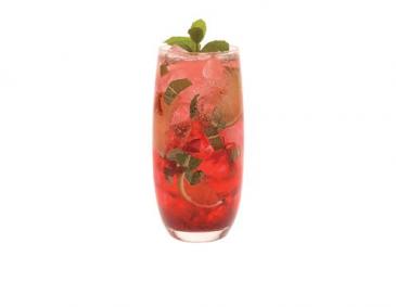 Hibiscus Mojito