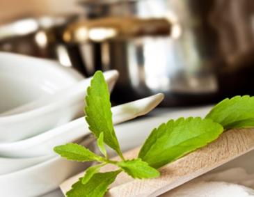 Stevia Rezepte