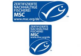 MSC Logo