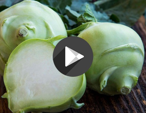 Klicken Sie mit der rechten Maustaste hier, um Bilder herunterzuladen: Video – Kohlrabi
